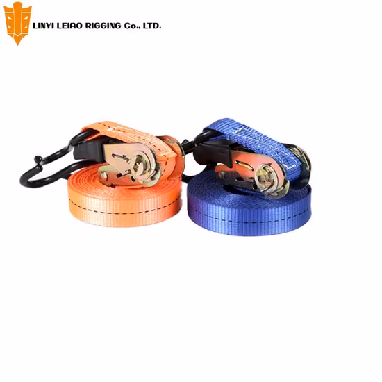 25mm"*6m Tie Down Strap with S Hook and Cheap Price