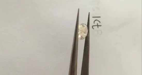 2022 New Hot Selling 14K White Gold Plated Flower Diamond Women Girls Lab Grown Diamond Fashion Stud Earring Fashion Jewelry