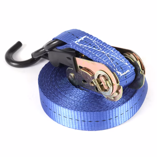 25mm"*6m Tie Down Strap with S Hook and Cheap Price