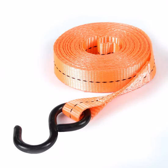 25mm"*6m Tie Down Strap with S Hook and Cheap Price