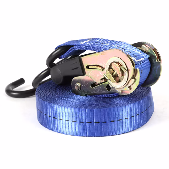 25mm"*6m Tie Down Strap with S Hook and Cheap Price
